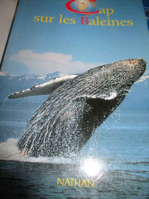 cap-baleine.JPG