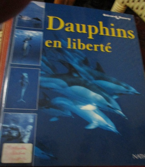 dauphin-liberte.JPG
