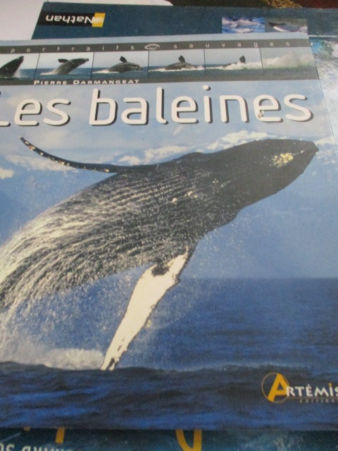 les_baleines.