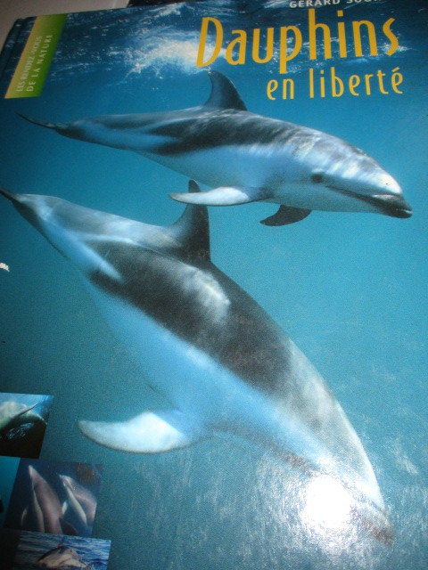les_dauphins