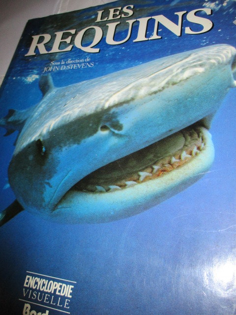 les_requins.