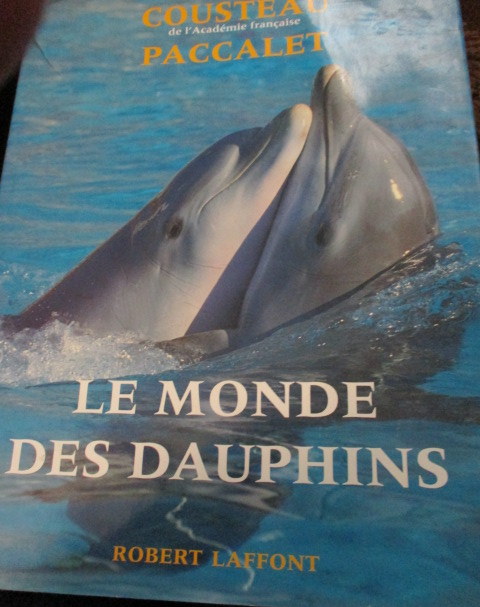 monde-dauphins.JPG