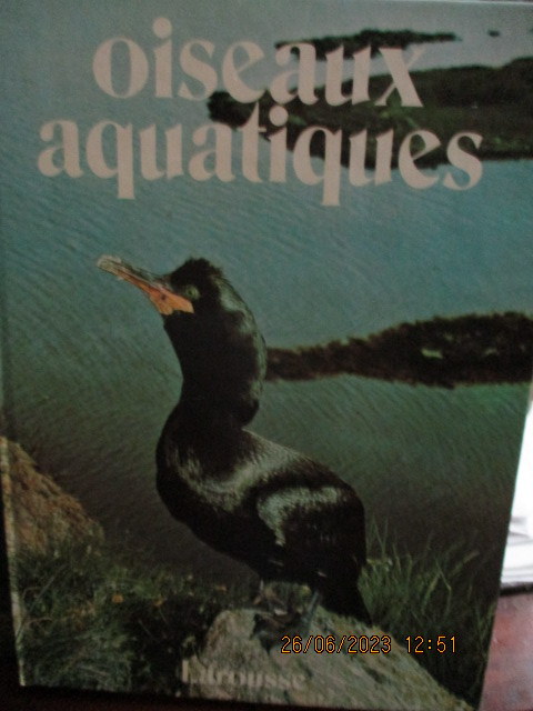 oiseaux-aquatiques.JPG