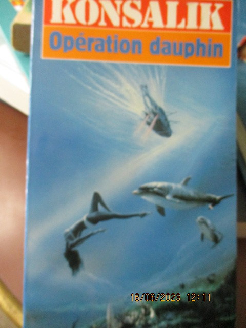 operation-dauphin.JPG