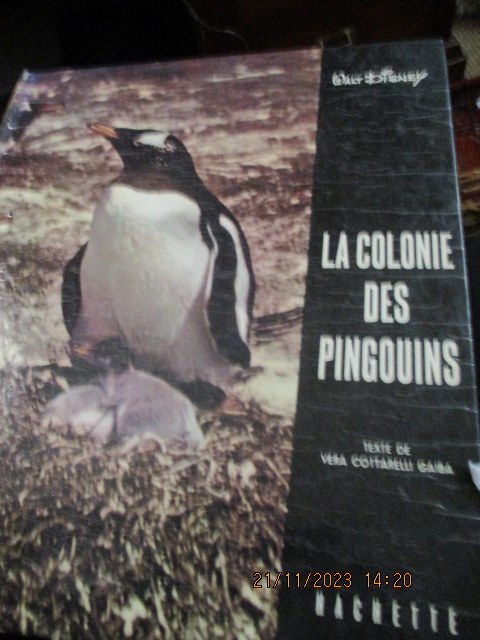 pingouins.JPG
