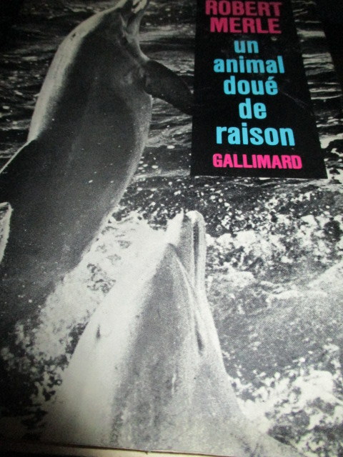 raison-merle.JPG