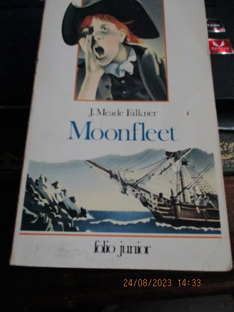moonfleet.JPG