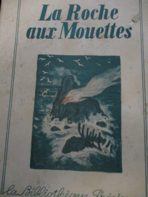 mouettes-----.JPG